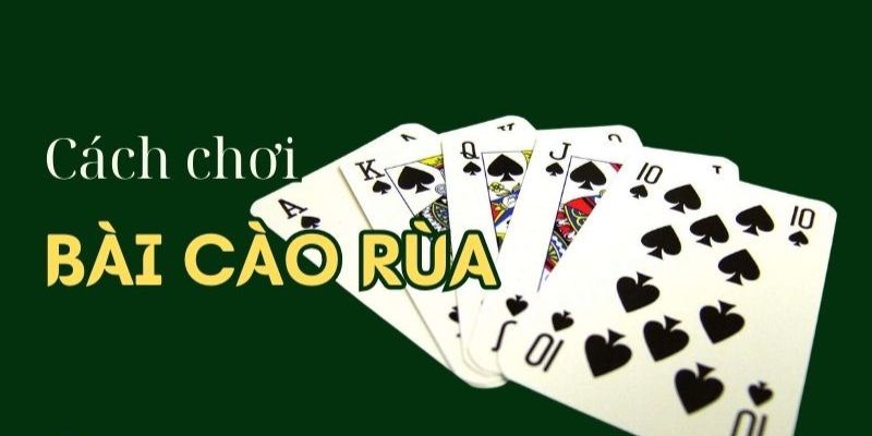 Tổng Quan Về Bài Cào Rùa Online