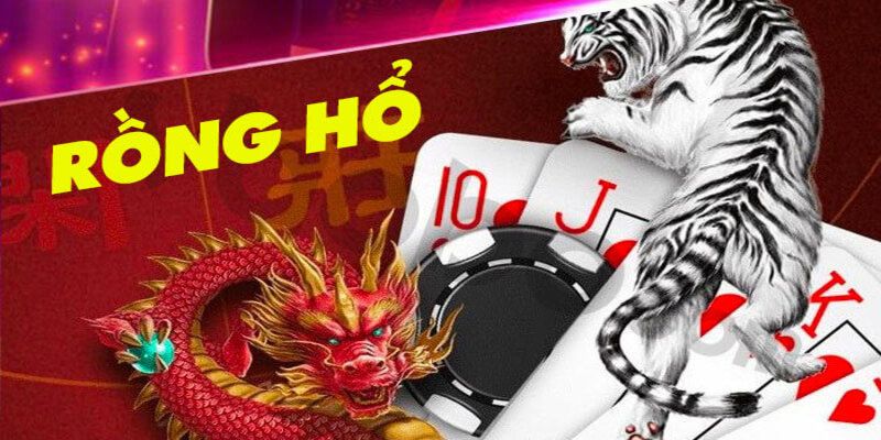 Review cách bắt cầu game rồng hổ online hiệu quả từ chuyên gia